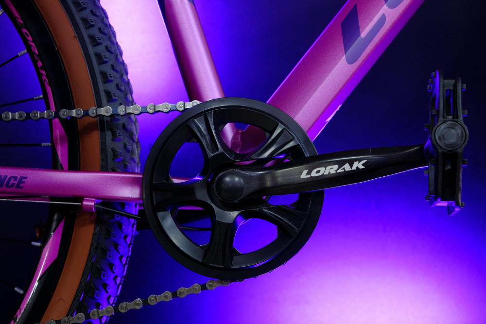 LORAK Fast Brown 26 Розовый